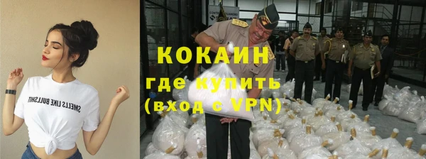 mix Богородицк