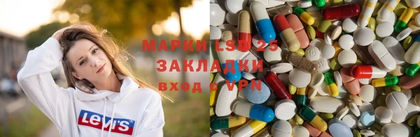 гашик Богданович