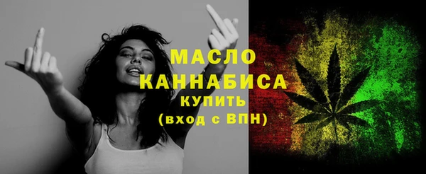 mix Богородицк