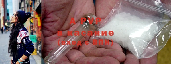 гашик Богданович