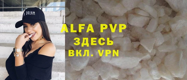 гашик Богданович