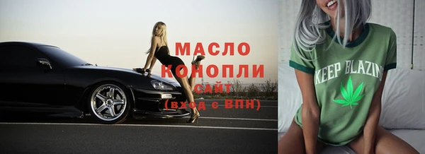 mix Богородицк