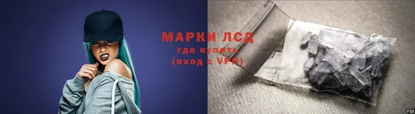 гашик Богданович