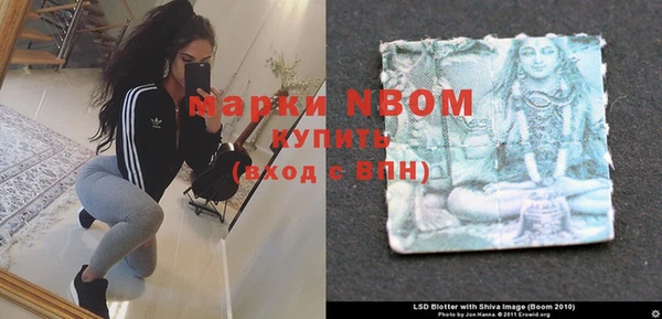 гашик Богданович